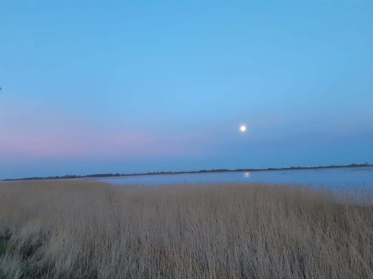Tönning Nordlichthuusヴィラ エクステリア 写真